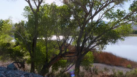 Río-En-Un-Día-Caluroso-Y-Soleado