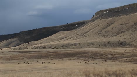 A-Grassy-Fall-Meadow-Leads-Into-The-Foothills