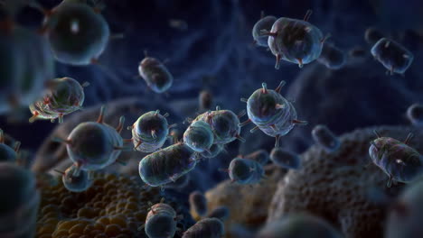 microscopic organisms or cells