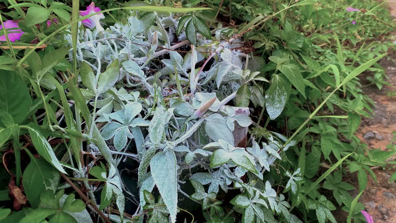 부작용 hcfc 액체 가스 소화기