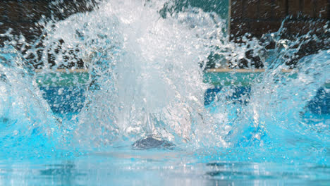 male swimmer swimming inside pool 4k