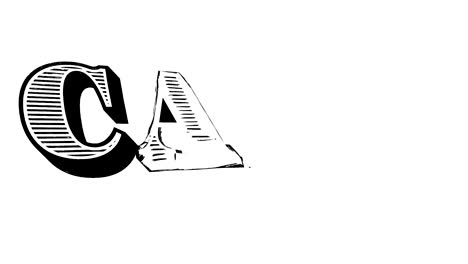 Time Lapse Hand Drawn sketch text word CASH with 3d rotate on white background