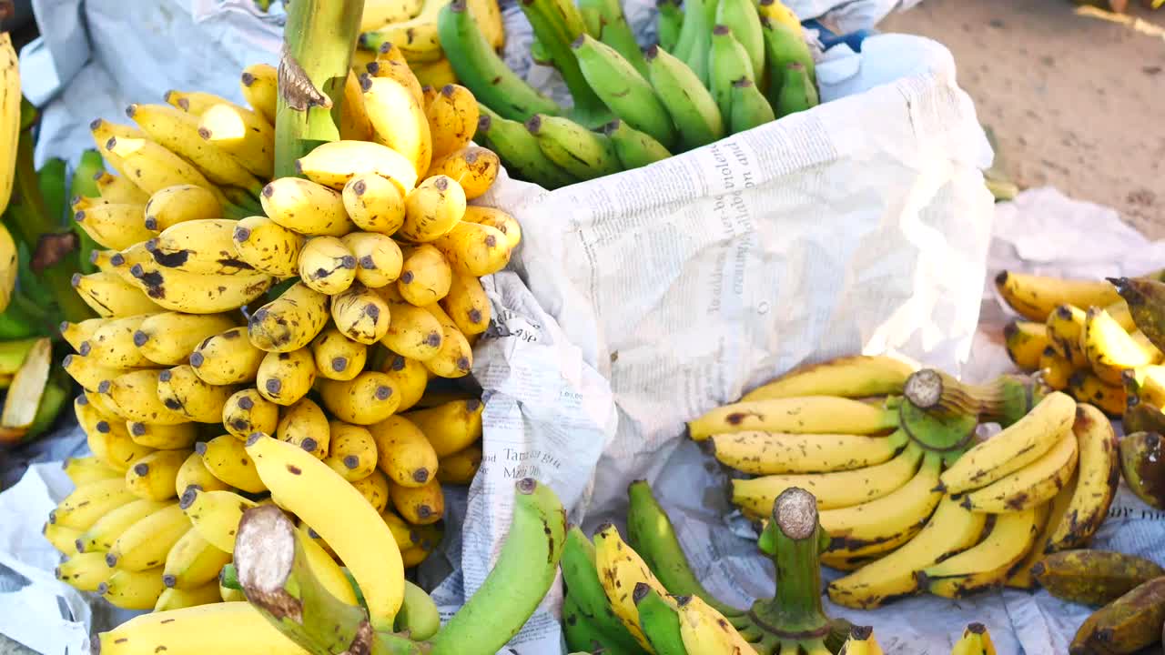plátanos frescos en un mercado