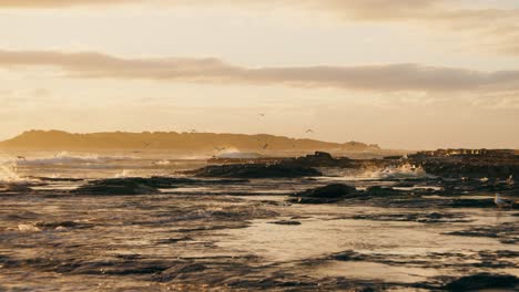 Beach-at-Port-Kembla-at-sunrise,-NSW,-Australia