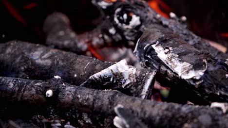 ?hargrill with burning wood. prepare charcoal before grilling meat