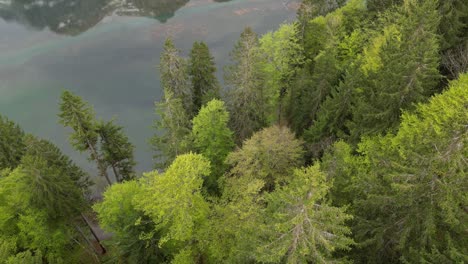 Blick-Auf-Wald-Und-Klöntalersee,-Kanton-Glarus,-Schweiz