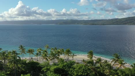 Drohne-Fliegt-über-Baumpalme-Von-Cayo-Levantado-Und-Umliegende-Landschaft,-Luftpanoramablick