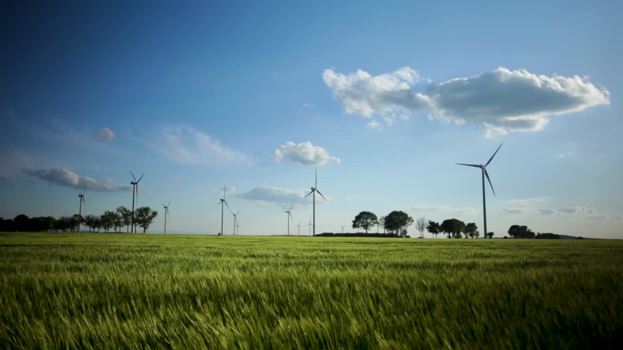 Beautiful green grass waving in the wind by windmills in Zlotoryja, Poland - wide pan