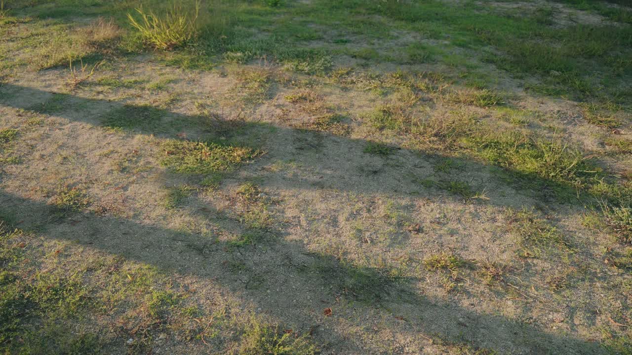 Silhouettes of two people holding hands on grass