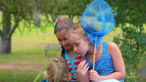 Children-trying-to-catch-insect-