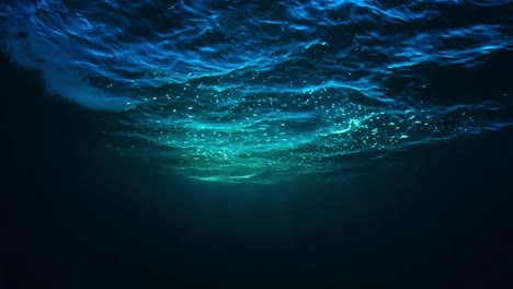 underwater view of ocean surface with sunlight