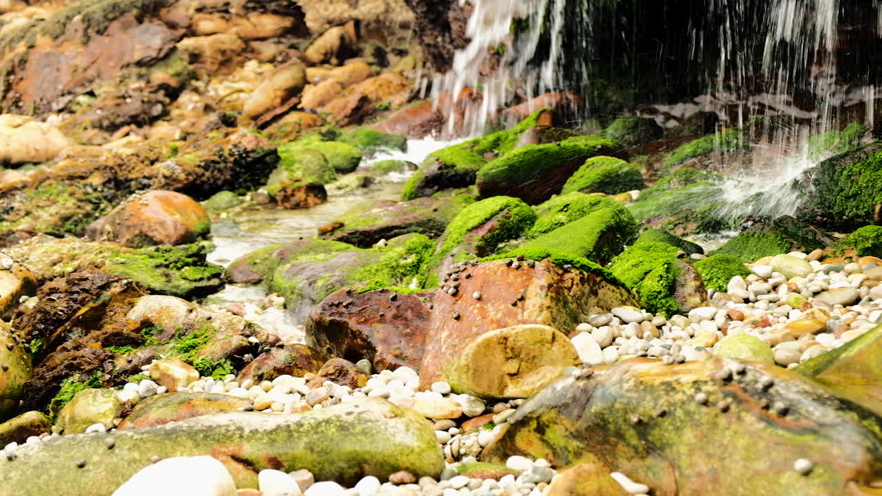 el agua del arroyo cae sobre rocas cubiertas de musgo verde en la costa, tiro panorámico