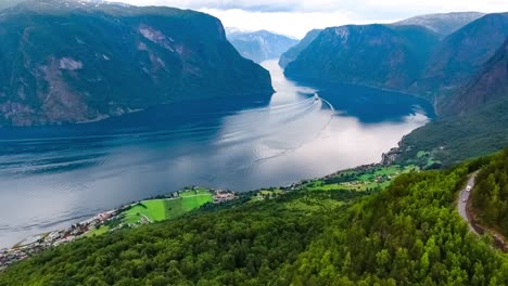 stegastein olhando para a bela natureza da noruega.