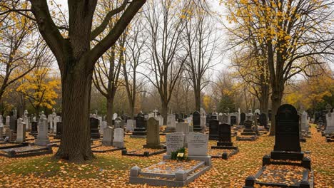 Autumn Cemetery Landscape: A Tranquil Scene of Fallen Leaves and Grave Markers Under Bare Trees Reflecting on Life and Remembrance