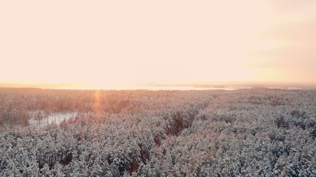 Luftfoto av nordisk vinterlandskap, flytur over snødekt fjellskog i solnedgang.