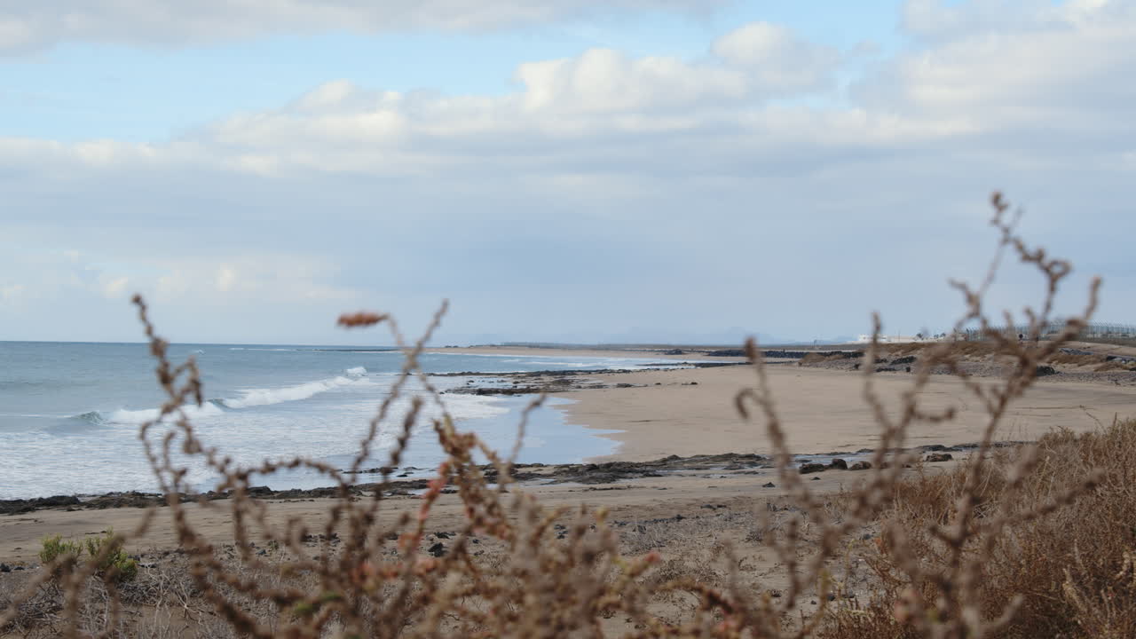 바람이 불면 해변