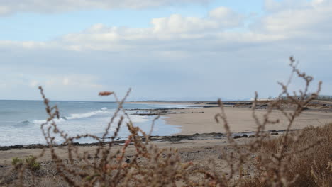 Beach-in-windy-weather