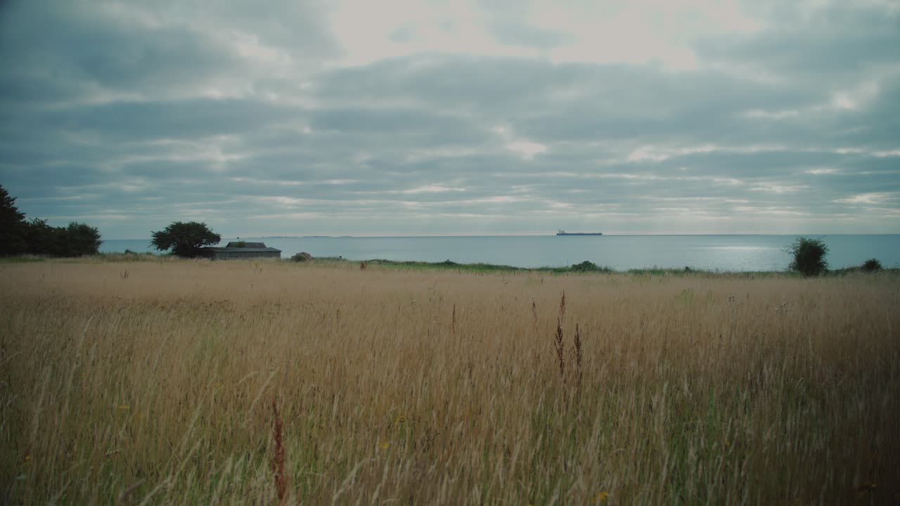 Calm, peaceful view of a grassy field with coastline in Langeland, Denmark