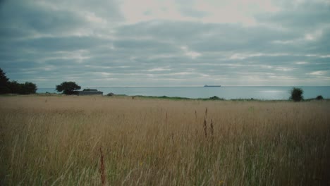 calm, peaceful view of a grassy field with coastline in langeland, denmark