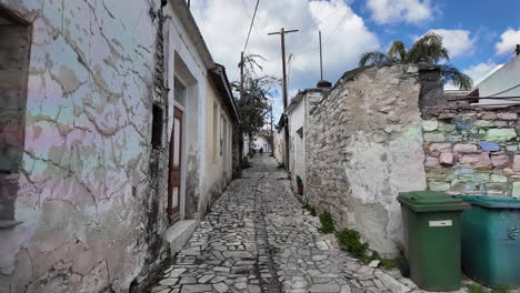 calle estrecha rústica en lefkara con casas de piedra y plantas en macetas