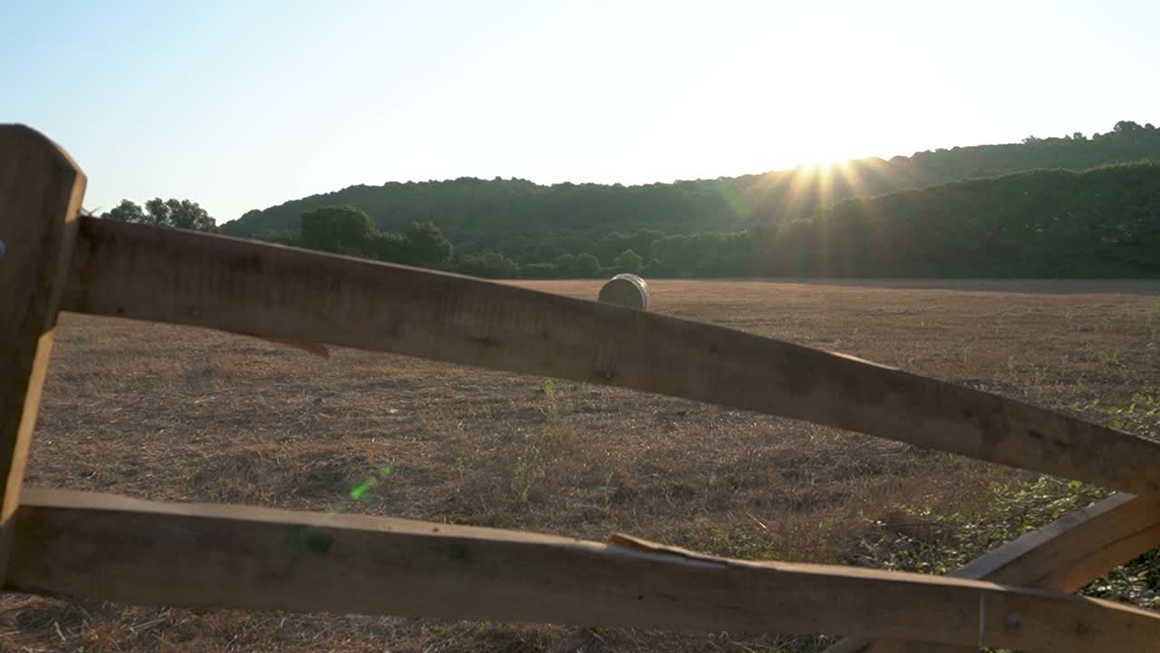Scoperta di un campo raccolto con rotoballe di grano al sorgere del sole