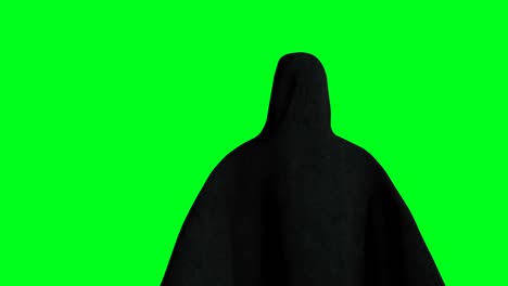 mystery fear ghost animation . dynamic hoodie. isolate. realistic 4k green screen animation.