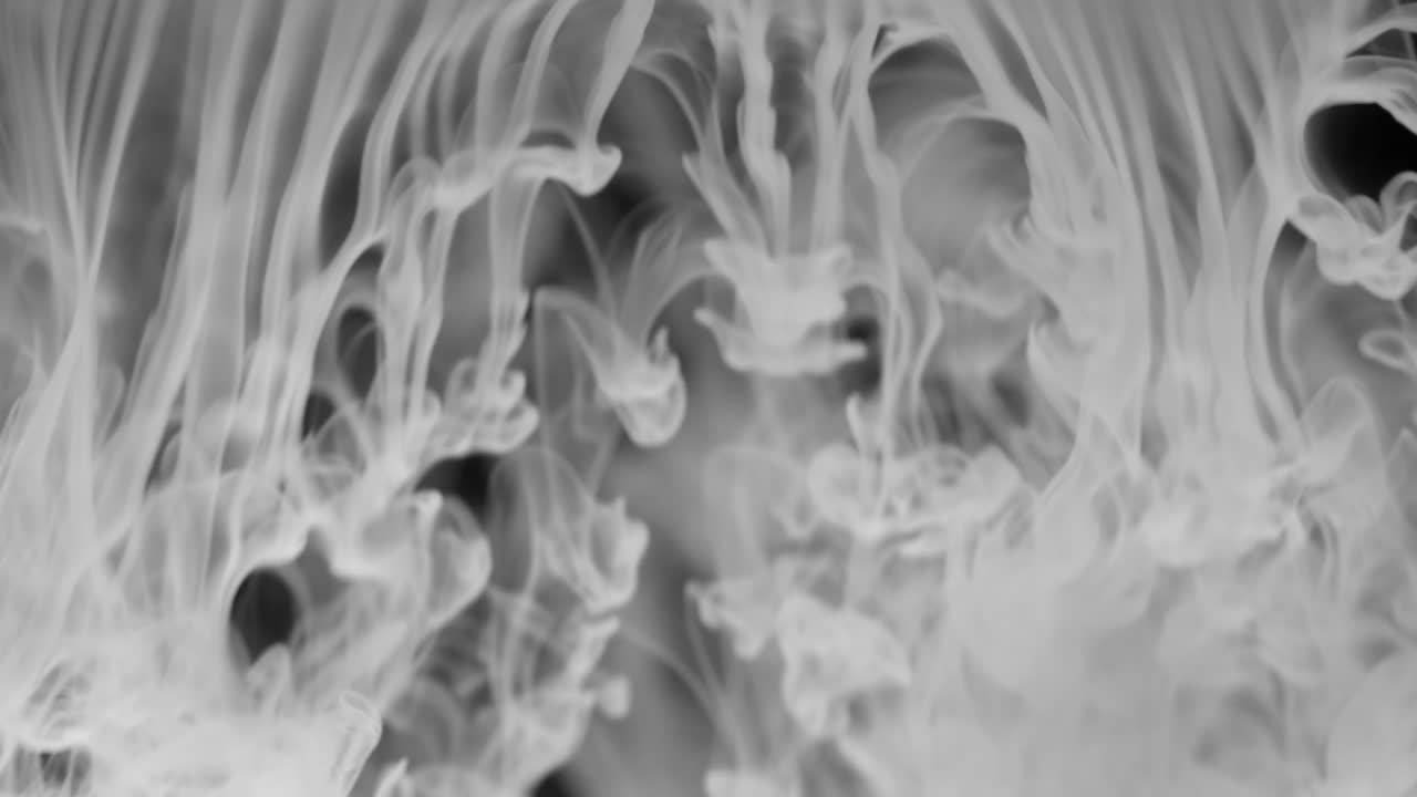 두꺼운  연기의 꾸준한 흐름은 우유 같은 안개로 사라지기 전에 프레임을 가로질러 떨어집니다.