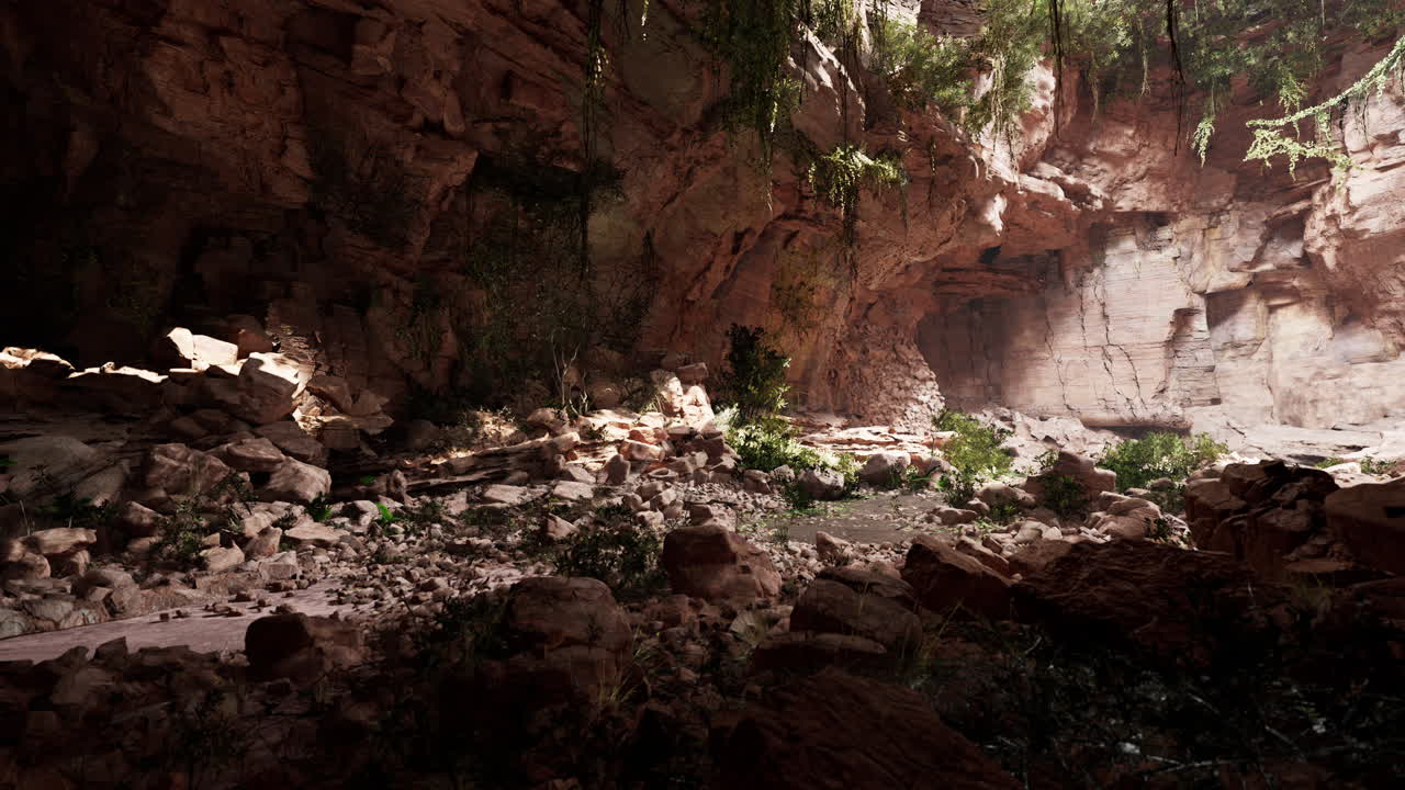vista desde el interior de una cueva oscura