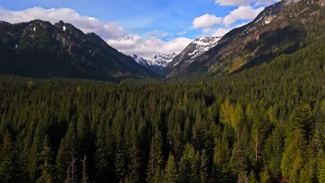 beautiful view flying over evergreen forest with mountains in the background at gold creek pond in washington state