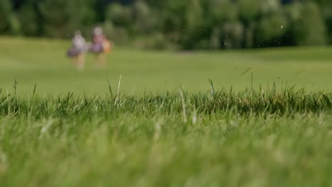 golf club hits a golf ball in a super slow motion. drops of morning dew and grass particles rise into the air after the impact.