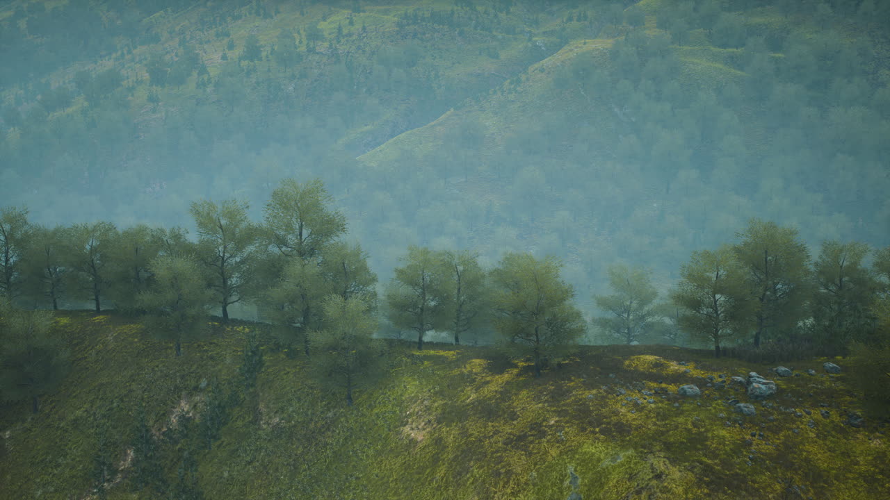 pequeños árboles verdes en las colinas en la niebla