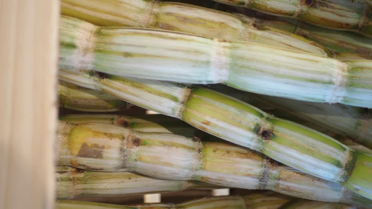 Sugarcane in a Wooden Crate