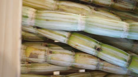 sugarcane in a wooden crate