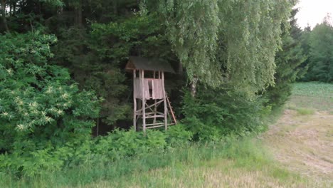 Viewing-point-on-the-edge-of-the-woods-and-meadow