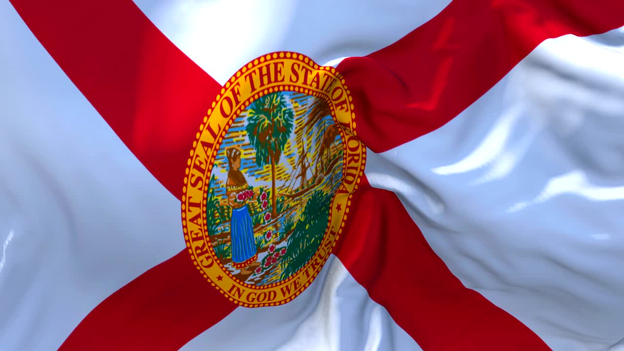 바람 속 느린 동작 애니메이션에서 플로리다 발을 흔들고, 4k 현실적인 직물 질감 발은 바람이 부는 날에 부드럽게 불고, 연속적인 원활한 루프 배경입니다.