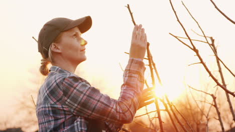 Young-Woman-Gardener-Examines-Tree-Branches-In-The-Garden