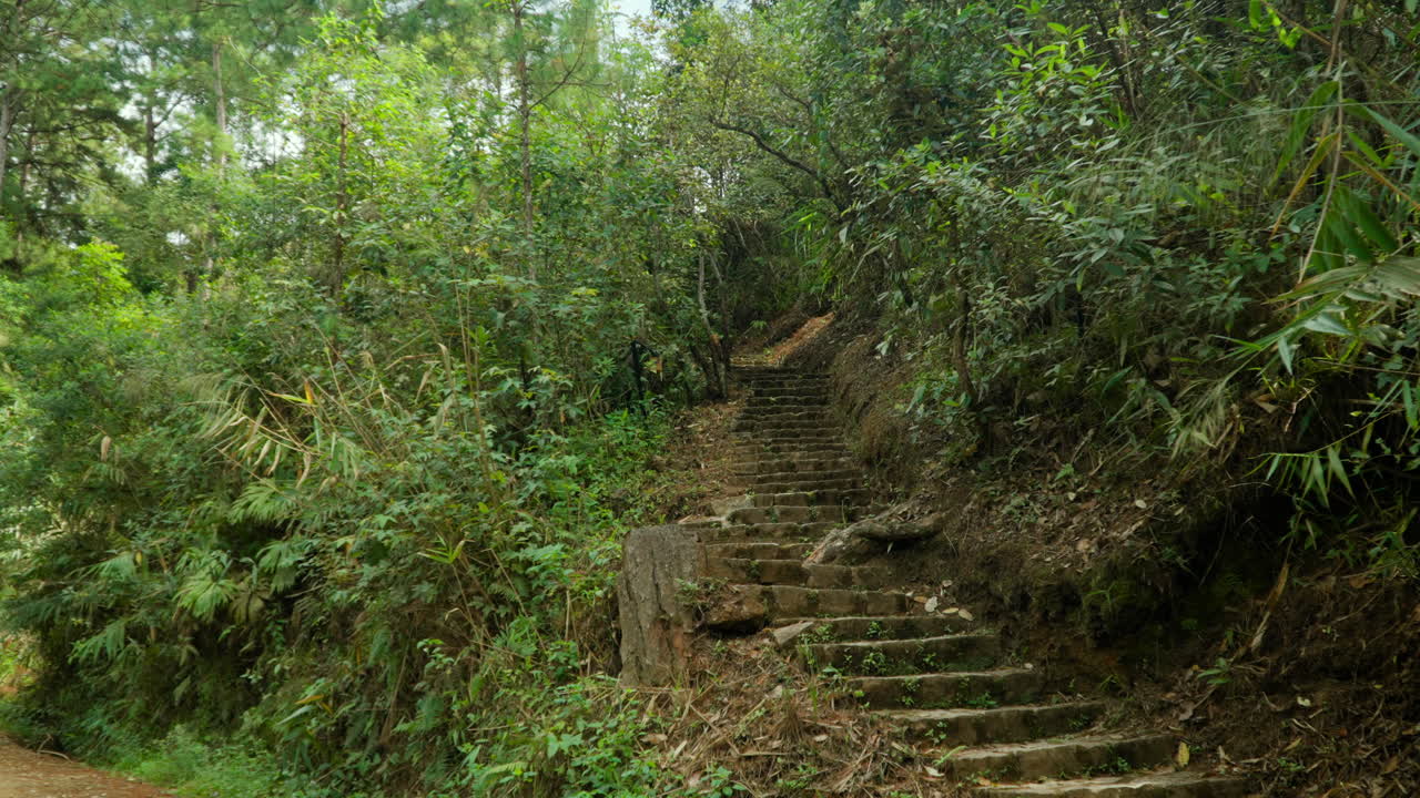 escaleras de piedra que suben la colina fuera de la vista rodeadas de selva tropical en el pueblo popular de cu lan, vietnam - inclinarse hacia arriba