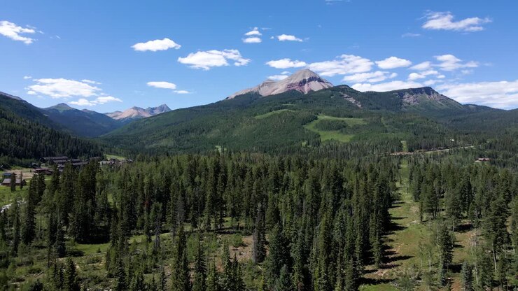 Filmato aereo 4K con drone di pini sempreverdi vicino a Durango, Colorado, Montagne Rocciose, Monti San Juan, Colorado occidentale.