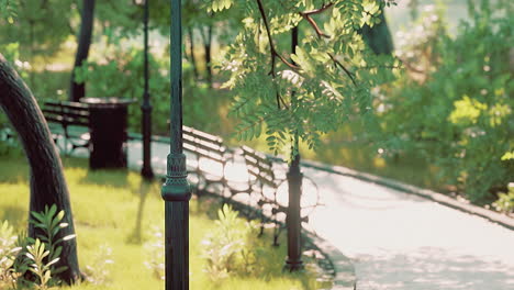 empty street at the nice and comfortable great garden