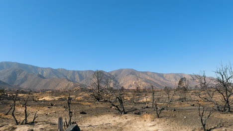 conduciendo por un paisaje desértico devastado por los incendios forestales de california