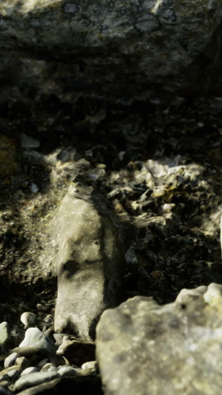 Exploring the intricate textures of weathered stones in a natural setting