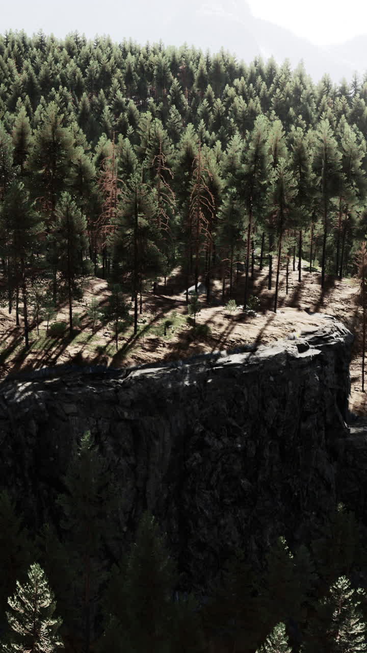 paisaje forestal sereno con acantilados y pinos