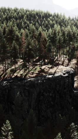 serene forest landscape with cliff and pine trees