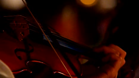 4k músicos tocando el violín en un concierto nocturno al aire libre