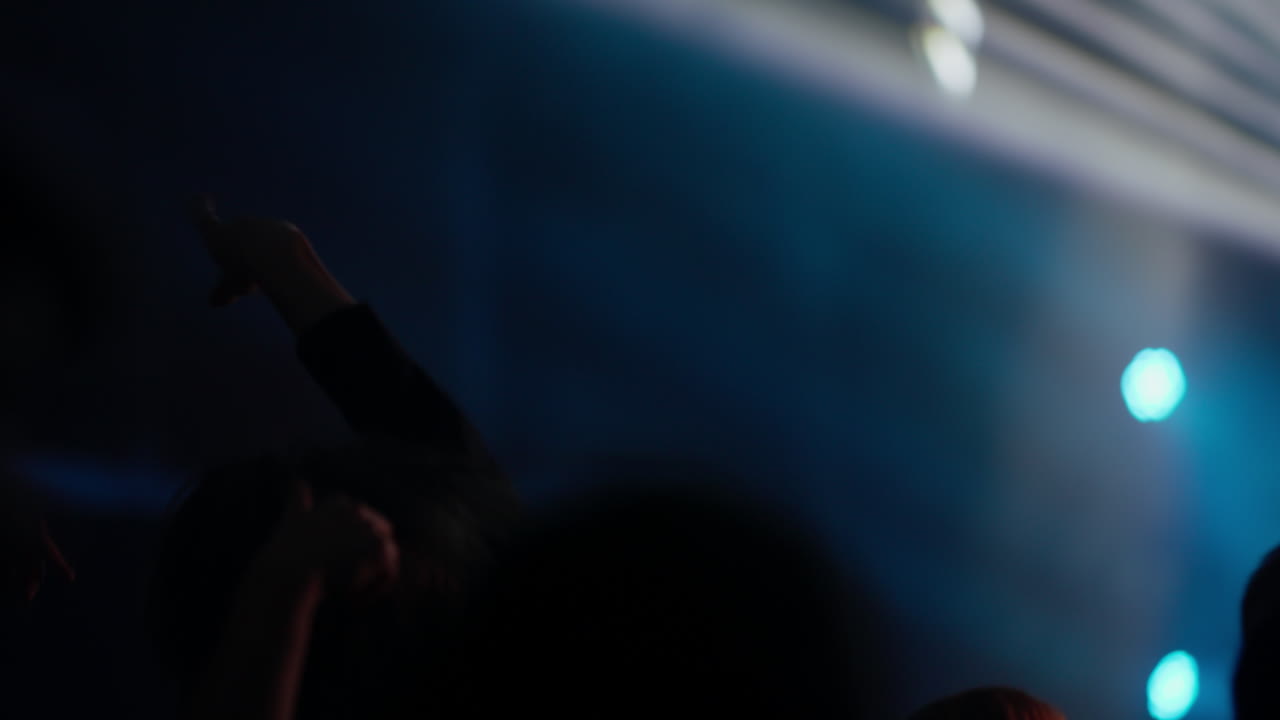Folla a un concerto