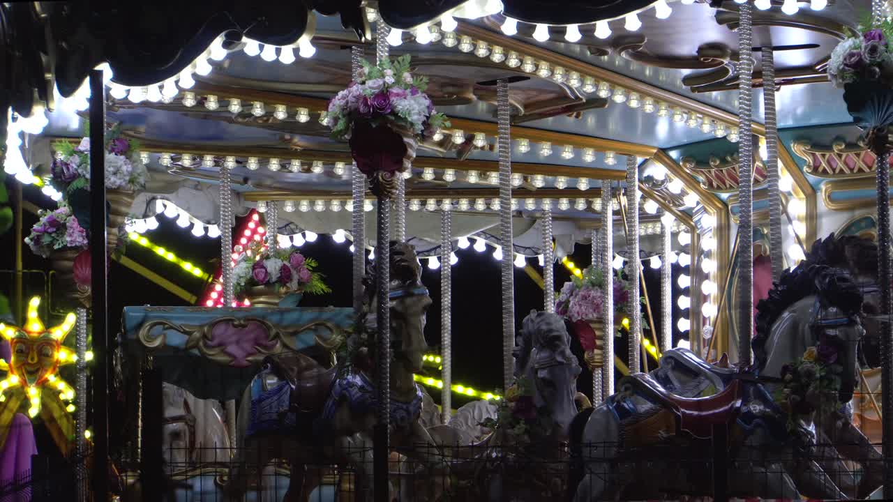 동물에 대한 매력