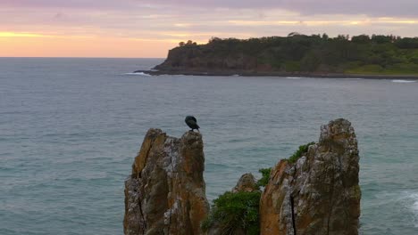 vista aérea en órbita del cormorán en la parte superior de las rocas de la catedral junto al océano al amanecer, nsw, australia