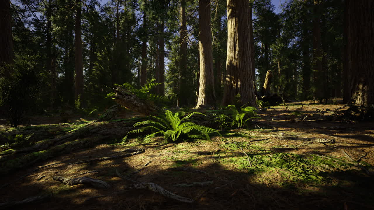 Sunlight filters through ancient trees in a serene forest setting