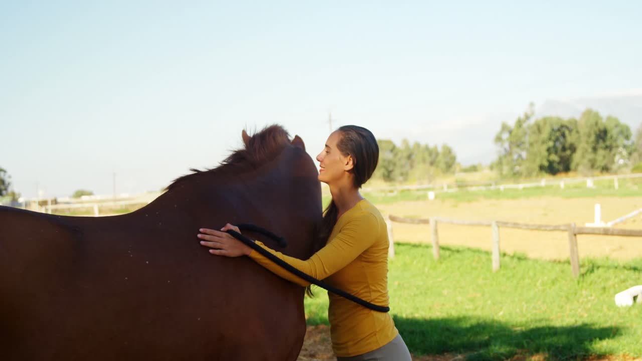 Veterinarian doctor standing with the horse 4k