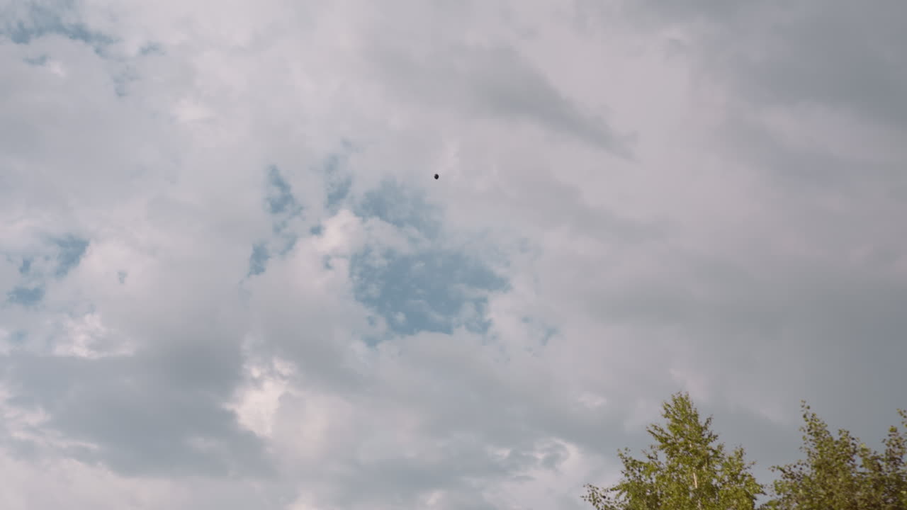 distant view of paraglider soaring over tree tops under cloudy sky, colorful canopy silhouette drifting above green forest, capturing sense of freedom, adventure and serene aerial perspective